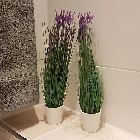 Nordic Oak Line Lejlighed *